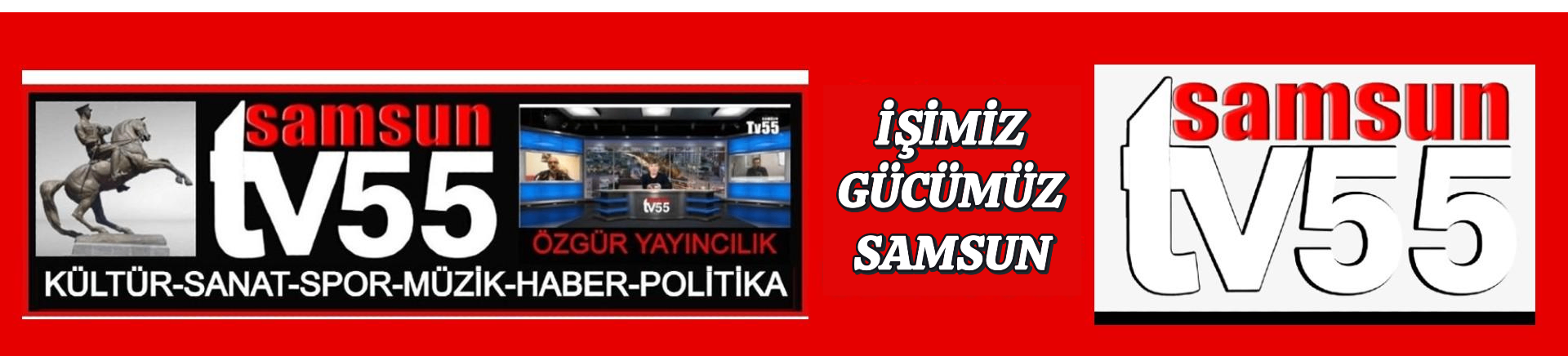 SAMSUN TV55