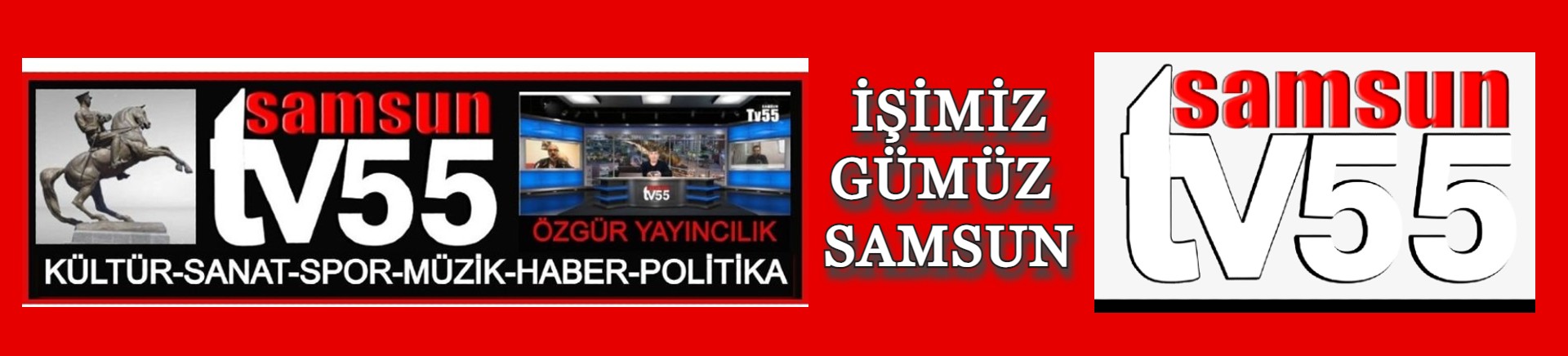 SAMSUN TV55