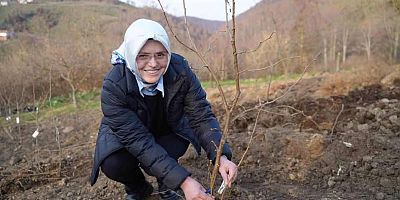 Samsun'da Fındık Verimini Arttıracak Proje